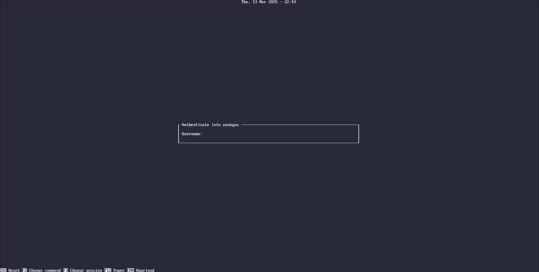 Display Manager